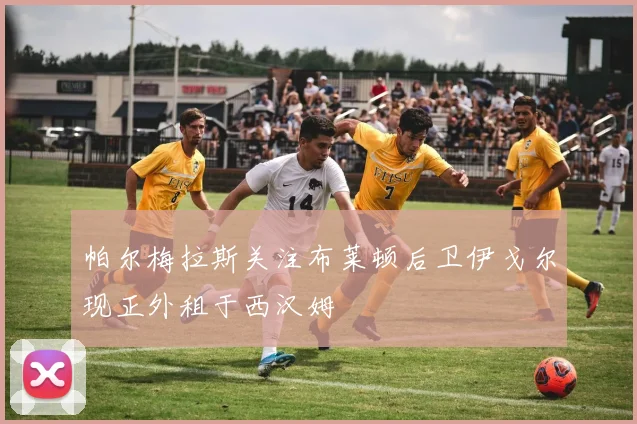 帕尔梅拉斯关注布莱顿后卫伊戈尔现正外租于西汉姆