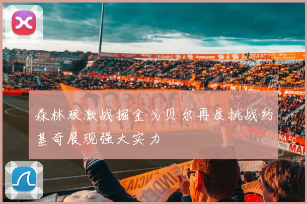 森林狼激战掘金戈贝尔再度挑战约基奇展现强大实力