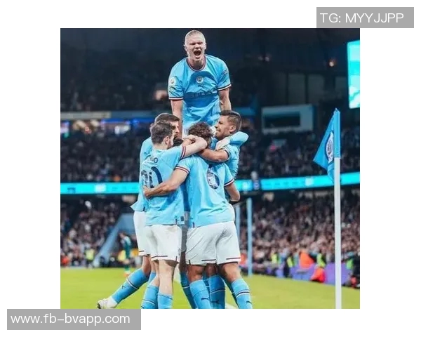 哈兰德本赛季英超主场进球2追平上赛季纪录仅差1场